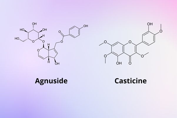 les principes actifs du gattilier : agnuside et casticine